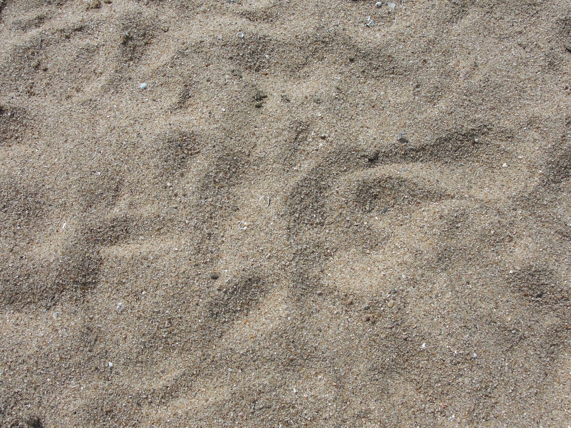 image showing river sand