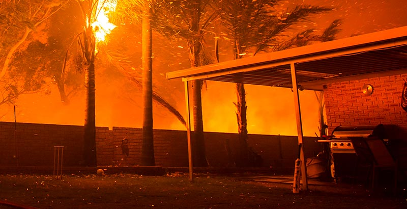 A palm tree catching on fire