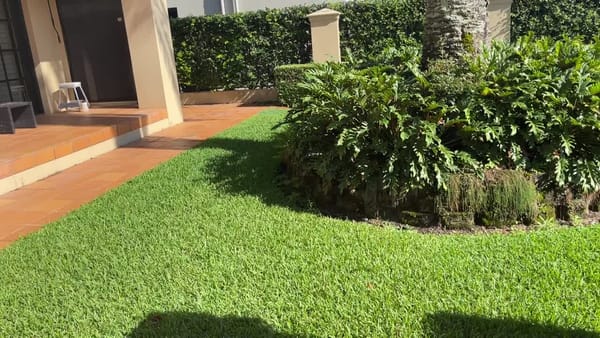 Post 2: Project 1: 15-11-2025 Inital site walk observations